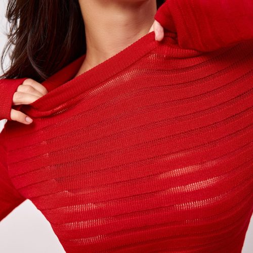 Crew Neck Long Sleeve Top Semi Sheer Fitted