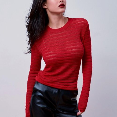 Crew Neck Long Sleeve Top Semi Sheer Fitted